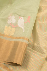 Pastel Green Handloom Chanderi Silk Cotton Saree 10059680