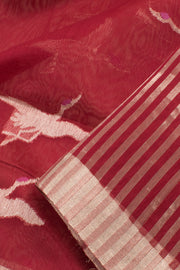 Rosewood Handloom Chanderi Silk Cotton Saree 10059682