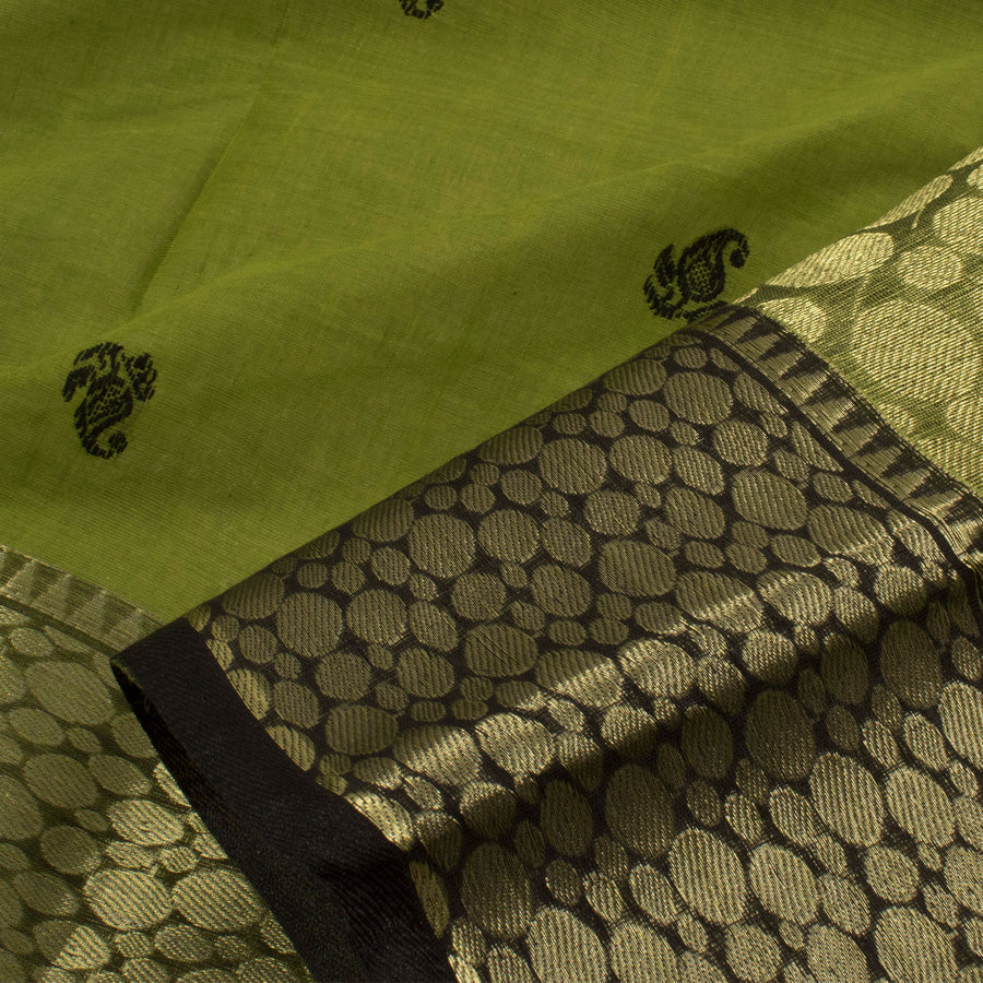 Handloom Bengal Cotton Saree with Paisley Motifs
