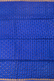 Sequin Work Self Checks Silk Saree 10057994