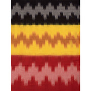 Handloom Ikat Cotton Saree 10056440