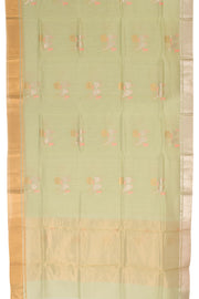 Pastel Green Handloom Chanderi Silk Cotton Saree 10059680