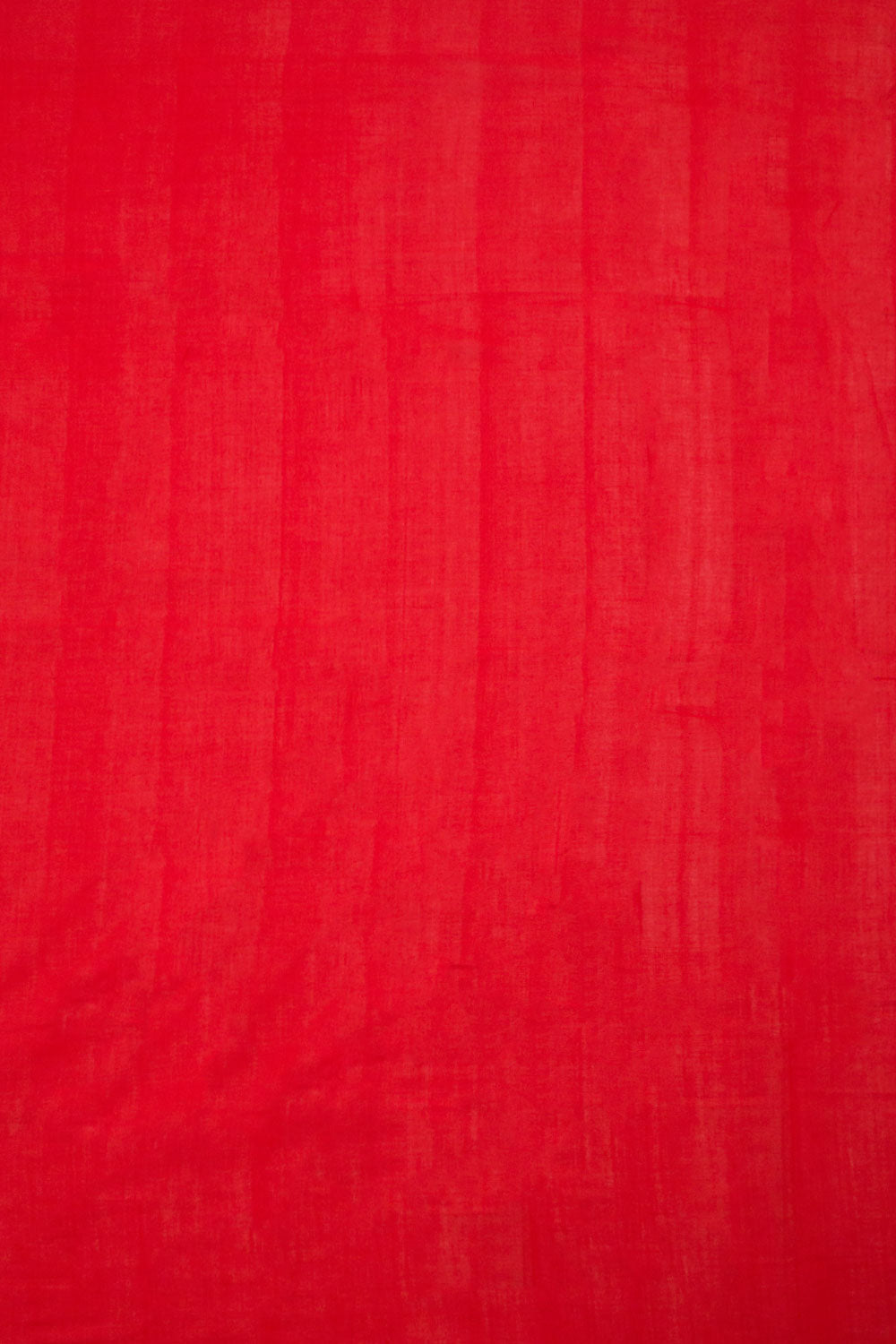 Black Handloom Pochampally Ikat Cotton Saree 10060518