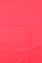 Metal Grey Borderless Kanjivaram Soft Silk Saree 10059800