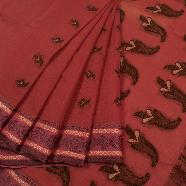Handloom Bengal Cotton Saree 10056076