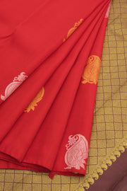 Red Handloom Pure Zari Borderless Kanjivaram Silk Saree 10059999