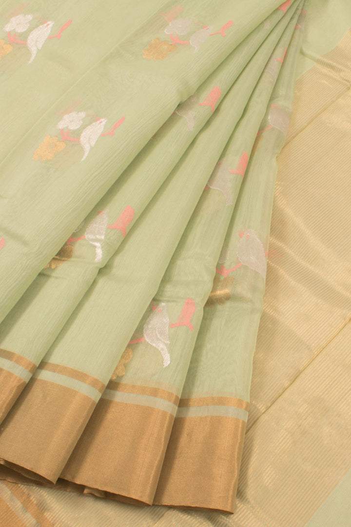 Pastel Green Handloom Chanderi Silk Cotton Saree 10059680