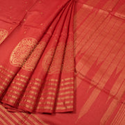 Handloom Chattisgarh Tussar Silk Saree 10053623