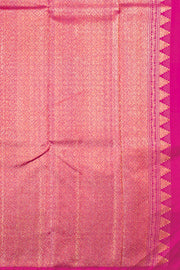 Multi colour Pure Zari Borderless Kanjivaram Silk Saree 10060057