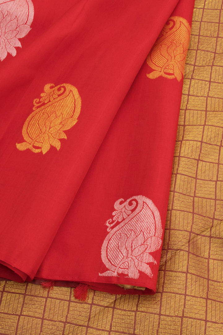 Red Handloom Pure Zari Borderless Kanjivaram Silk Saree 10059999