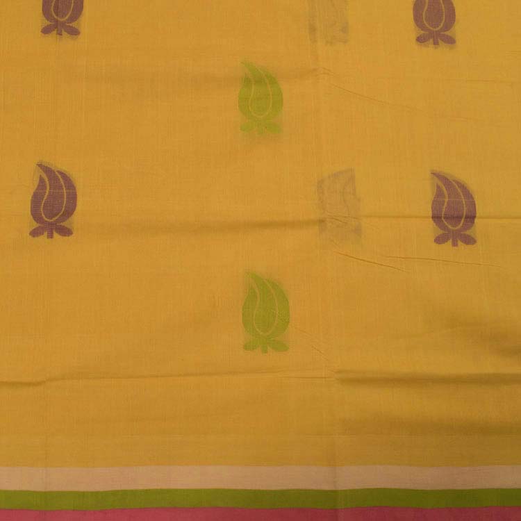 Handloom Bengal Organic Cotton Saree 10035909